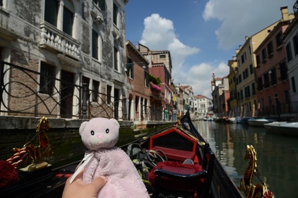 Bear - Gondola Ride - Venice  Italy